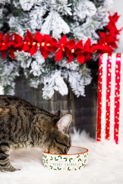 Paws + Claus