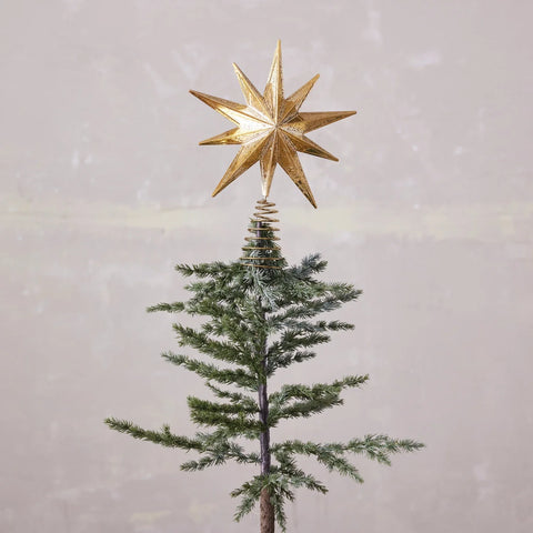 Star Of Wonder