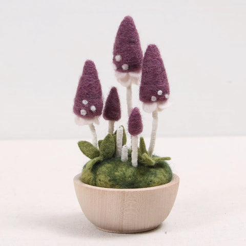 Needle Felting Kit, Pixie Parasol
