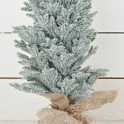 Snowy Blue Cypress Pine Tree - 24"