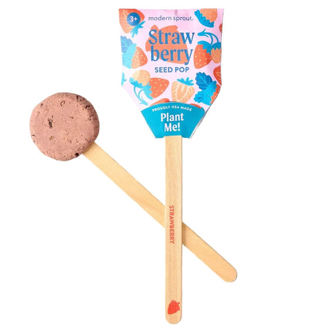 Garden Seed Pop - Strawberry