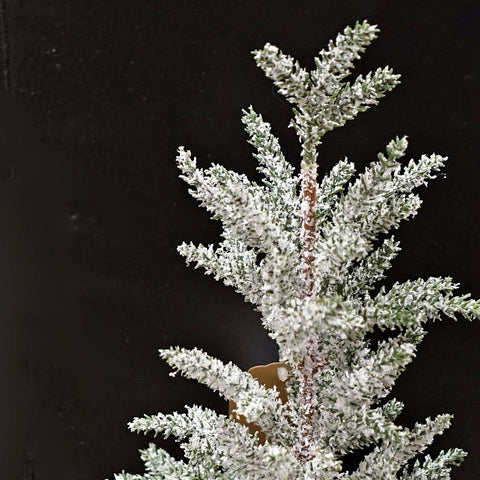 Snowy Blue Cypress Pine Tree - 16"