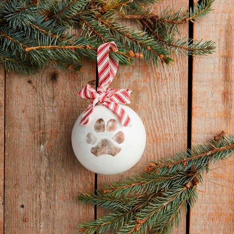 Personalized Paw Print Ornament Kit