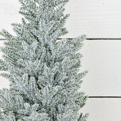 Snowy Blue Cypress Pine Tree - 24"