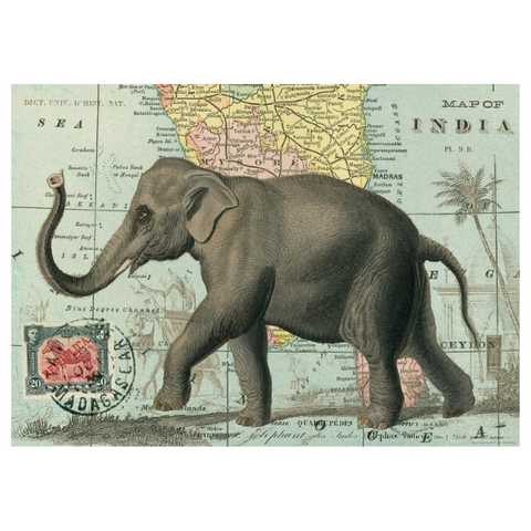 Elephant - Cavallini Poster Wrap