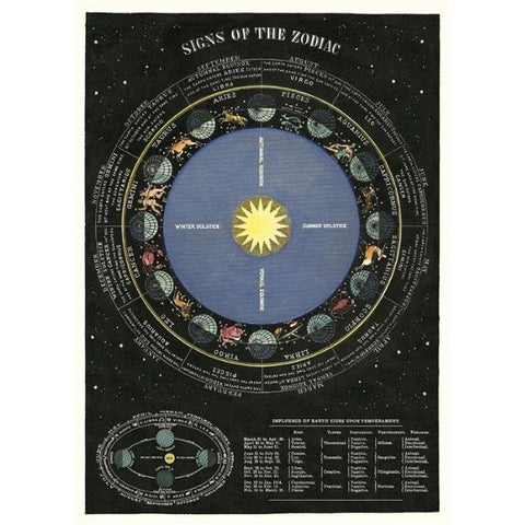 Cavallini Zodiac Chart Poster