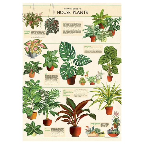 Cavallini House Plants Poster