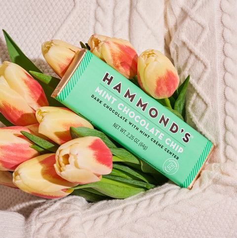 Hammond's Chocolate Bar - Mint Chocolate Chip