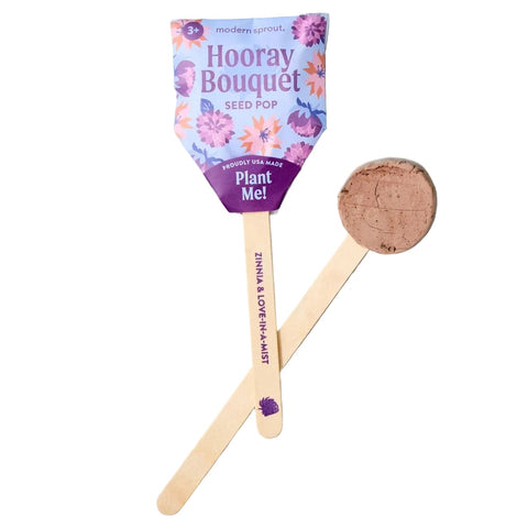 Flower Seed Pop - Hooray Bouquet