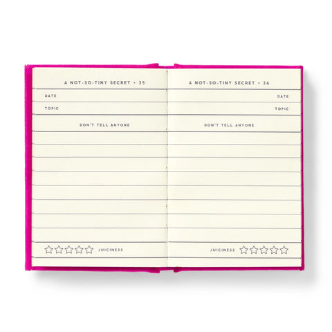 A Tiny Diary For Not So Tiny Secrets