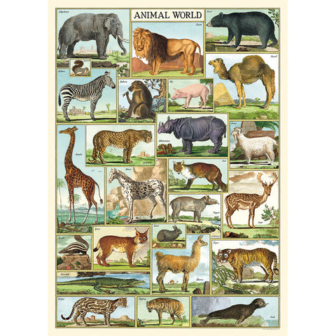 Animal World Poster - Cavallini Poster Wrap