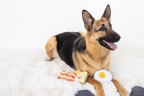Barkfast Dog Toys, Set of 3