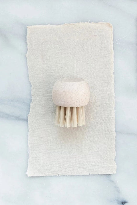 Beech Wood & Plastic Vegetable Brush