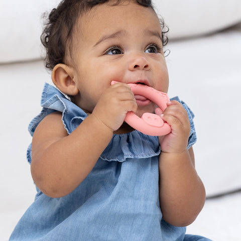 Bella Tunno Pig Rattle Buddy