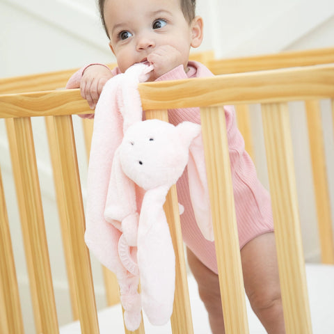 Bella Tunno Teether Buddy - Betty The Bunny
