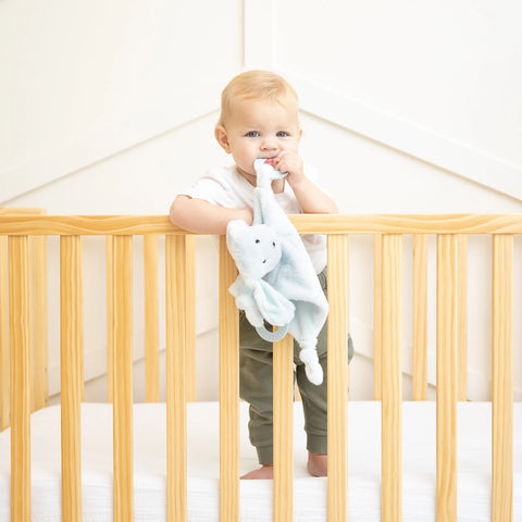 Bella Tunno Teether Buddy - Danny The Dog