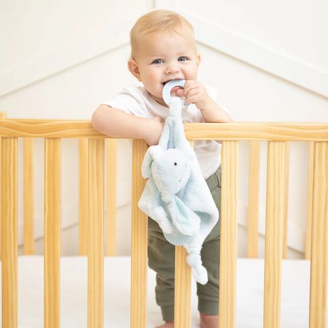 Bella Tunno Teether Buddy - Danny The Dog