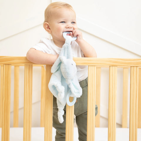 Bella Tunno Teether Buddy - Danny The Dog