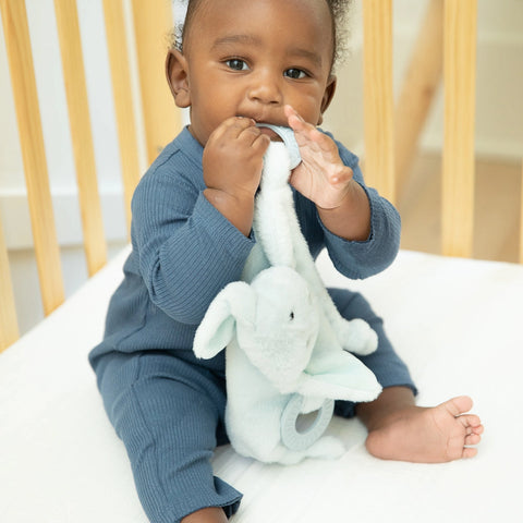 Bella Tunno Teether Buddy - Danny The Dog