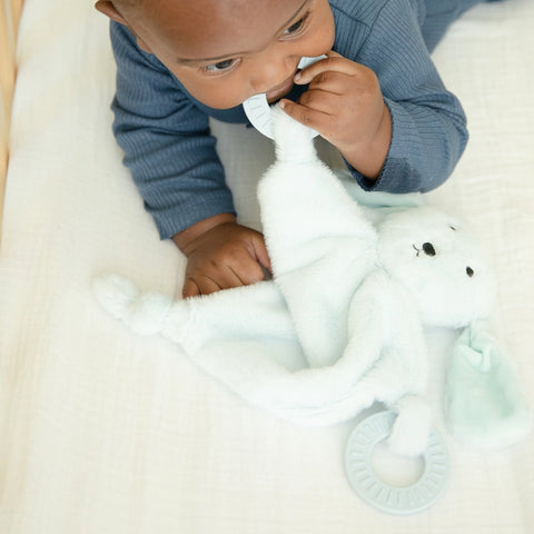 Bella Tunno Teether Buddy - Danny The Dog
