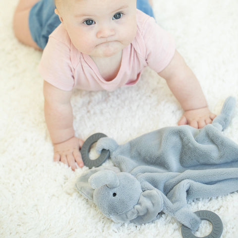 Bella Tunno Teether Buddy - Evie The Elephant