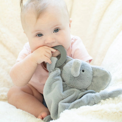 Bella Tunno Teether Buddy - Evie The Elephant