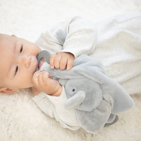 Bella Tunno Teether Buddy - Evie The Elephant