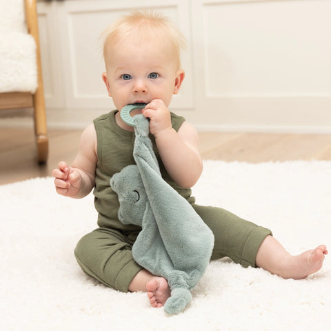 Bella Tunno Teether Buddy - Freddie The Frog