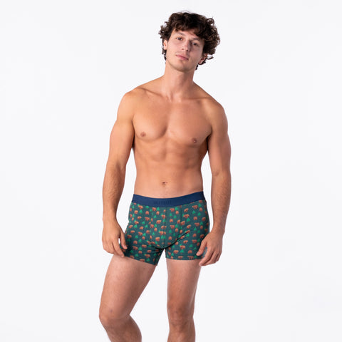 BillyBelt Kinai Boxer Briefs