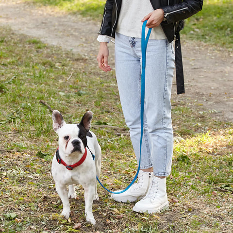 Biothane Waterproof Leash 6' x 1/2" - Cerulean Blue