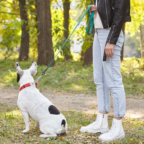 Biothane Waterproof Leash 6' x 1/2" - Hunter Green