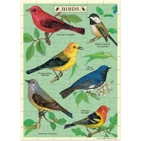 Bird Watching Puzzle Greeting Card - Cavallini