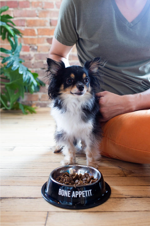 Bone Appetit Pet Bowl - Small