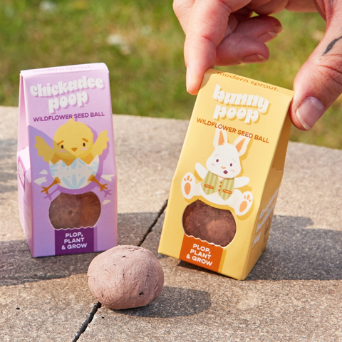 Chickadee Poop Wildflower Seed Ball
