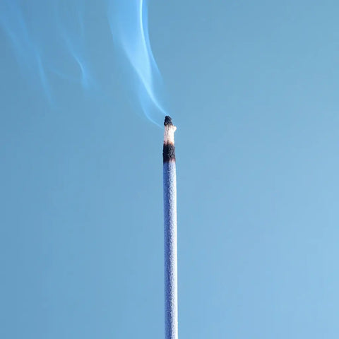 Burn Away The BS Incense (Fresh Ocean) - Improper Co.