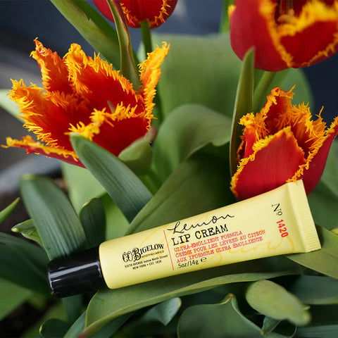 C.O. Bigelow Lemon Lip Cream No. 1420