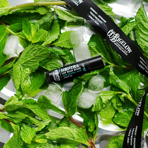 c.o. bigelow mentha lip balm stick Mentha Lip Balm Stick No. 1131 c.o. bigelow mentha lip balm stick Mentha Lip Balm Stick No. 1131