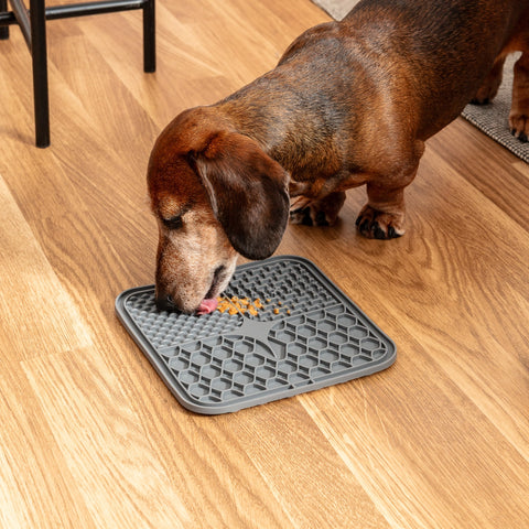 Calming Lick Mat - Dark Grey