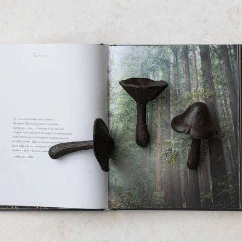Cast Iron Mushroom - B