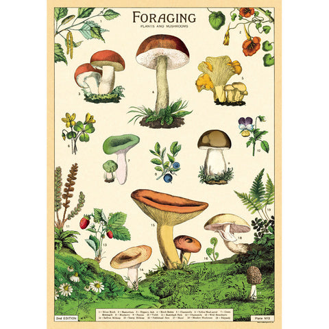 Foraging - Cavallini Poster Wrap