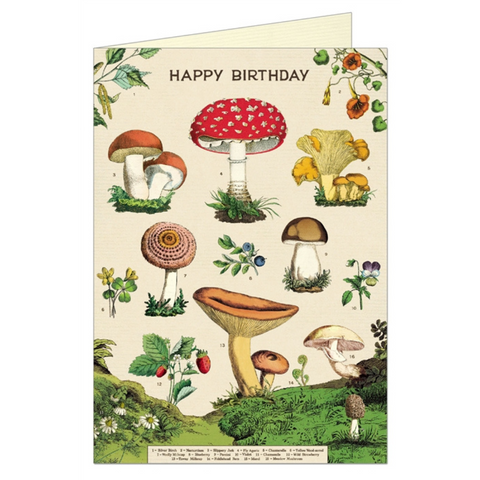 Cavallini "Happy Birthday Mushroom Forage" Greeting Card