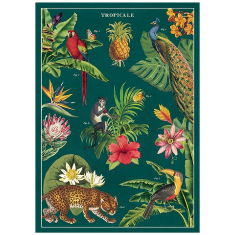 Cavallini Tropicale Poster