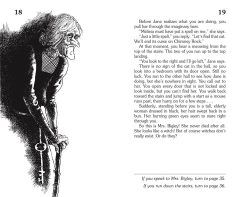 Choose Your Own Adventure® - The Mystery Of Chimney Rock by Edward Packard