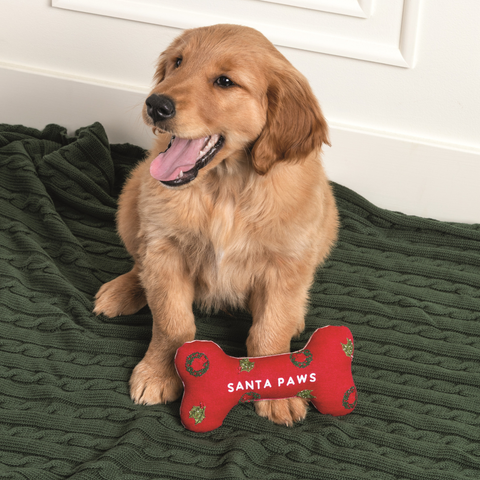 Christmas Dog Bone Toy - Santa Paws