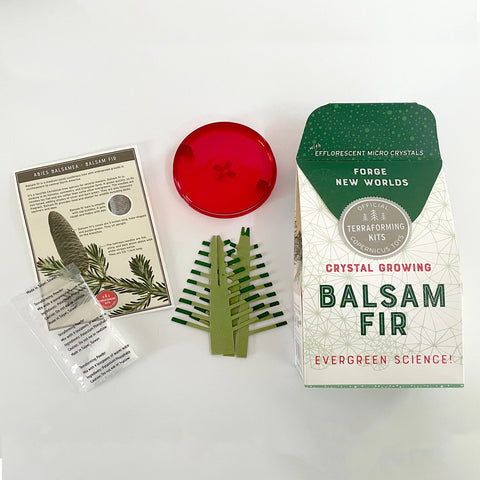 Crystal Growing Balsam Fir Craft Kit Science Kit - Copernicus Toys