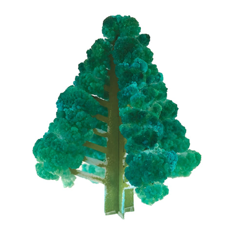 Crystal Growing Balsam Fir Craft Kit Science Kit - Copernicus Toys