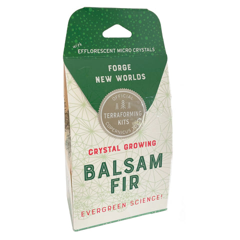 Crystal Growing Balsam Fir Craft Kit Science Kit - Copernicus Toys
