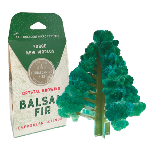 Crystal Growing Balsam Fir Craft Kit Science Kit - Copernicus Toys