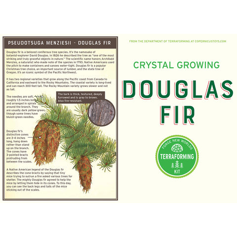 Crystal Growing Douglas Fir Craft Kit Science Kit - Copernicus Toys