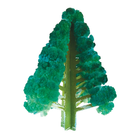 Crystal Growing Douglas Fir Craft Kit Science Kit - Copernicus Toys